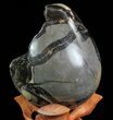 Septarian Dragon Egg Geode - Black Crystals #71986-3